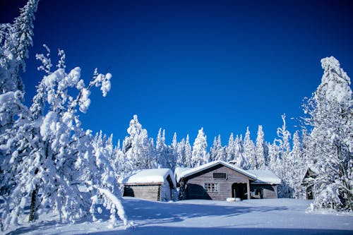Free 
A Cabin during Winter Stock Photo
