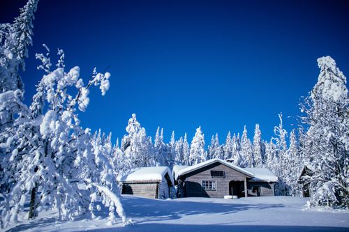 Free A rustic cabin nestled in a tranquil, snow-covered forest under a clear blue sky. Stock Photo