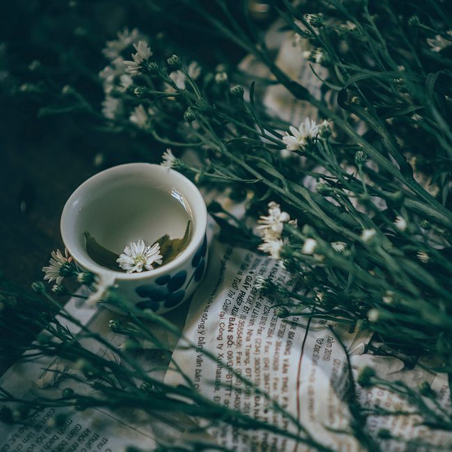 Botaniczna inspiracja dla ZESTAW DEGUSTACYJNY — zdjęcie poglądowe