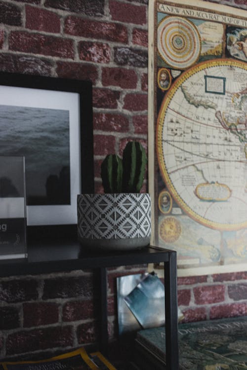 Potted plant with photo of sea on shelf against paper map on rough wall in house