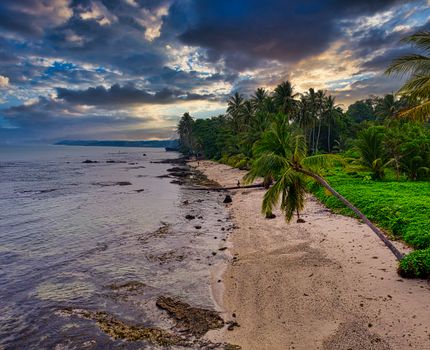 Tranquil beach scene with palm trees and dramatic clouds in Banten, Indonesia at sunset.