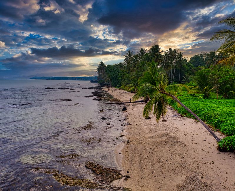 Tranquil beach scene with palm trees and dramatic clouds in Banten, Indonesia at sunset.