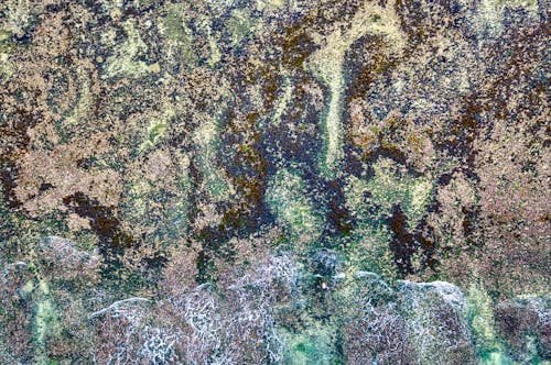 Darmowe zdjęcie z galerii z abstrakcyjny, kolor, natura