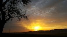 农村的剪影树映衬着五彩斑斓的天空，迎来一个宁静的日落