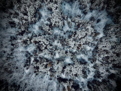 Captivating aerial shot of a winter forest with snow-covered tree canopies.