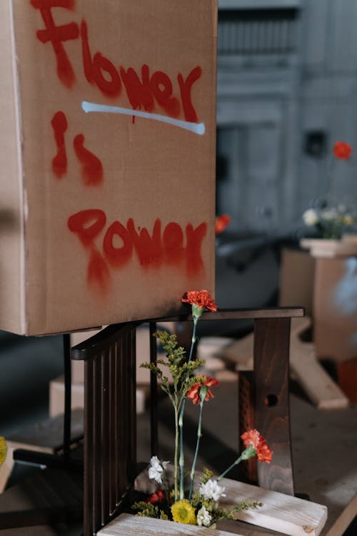 Kostnadsfri bild av aktivism, blomma, enhet