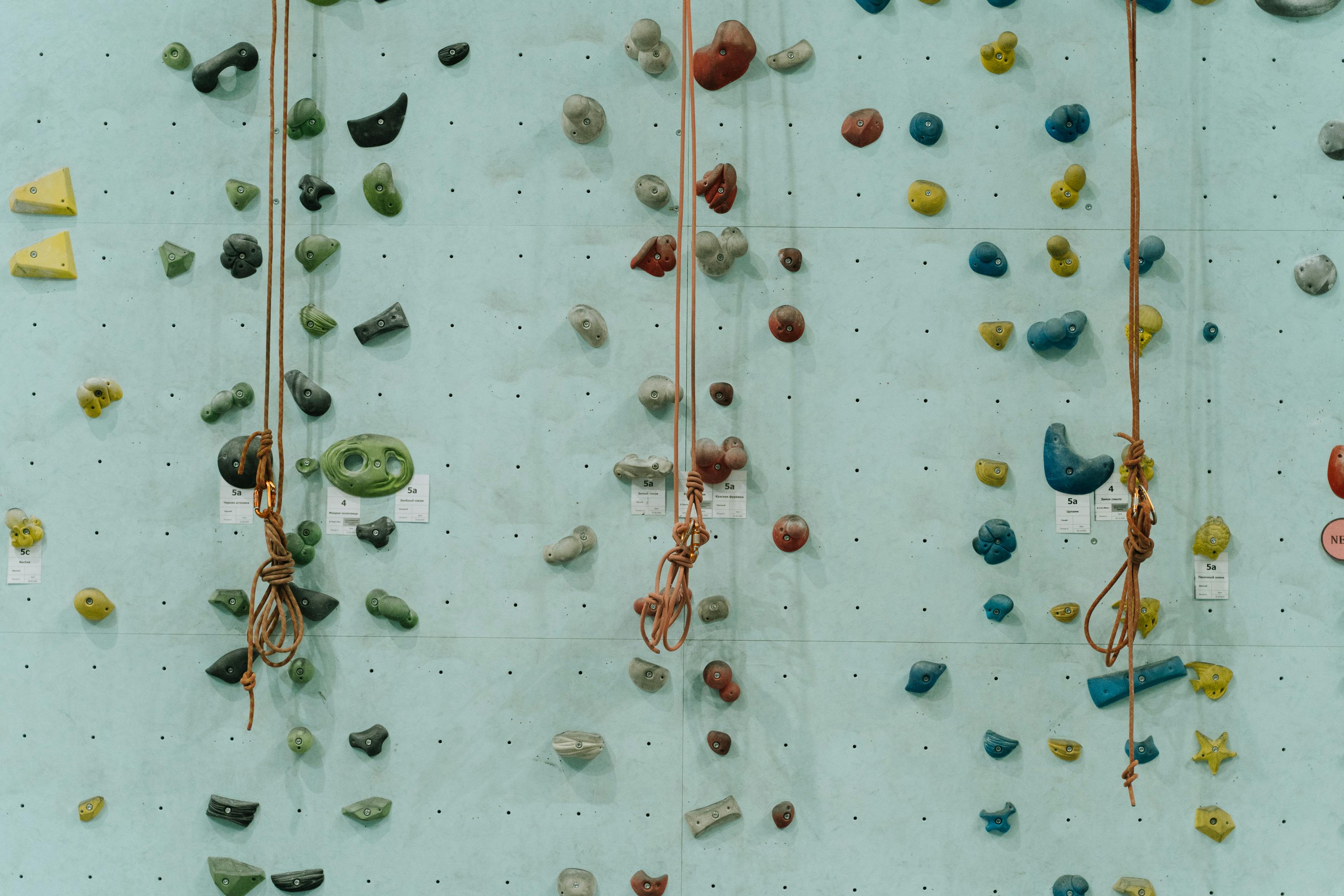 A vividly colored indoor climbing wall featuring various holds and safety ropes.