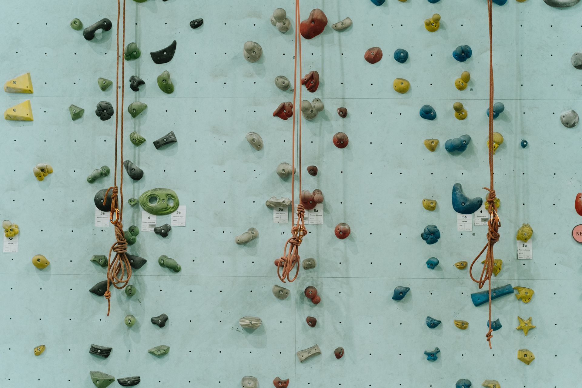 Climbing Holds and Ropes Used in Wall Climbing