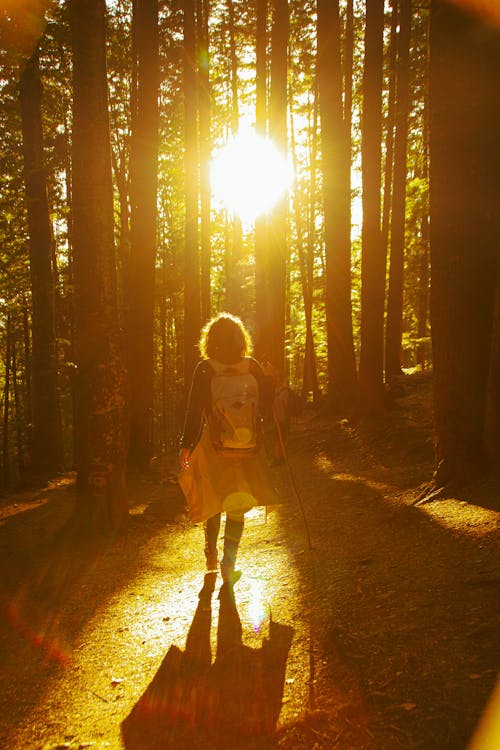 Back view of unrecognizable female standing alone on ground in forest in sunlight on summer day