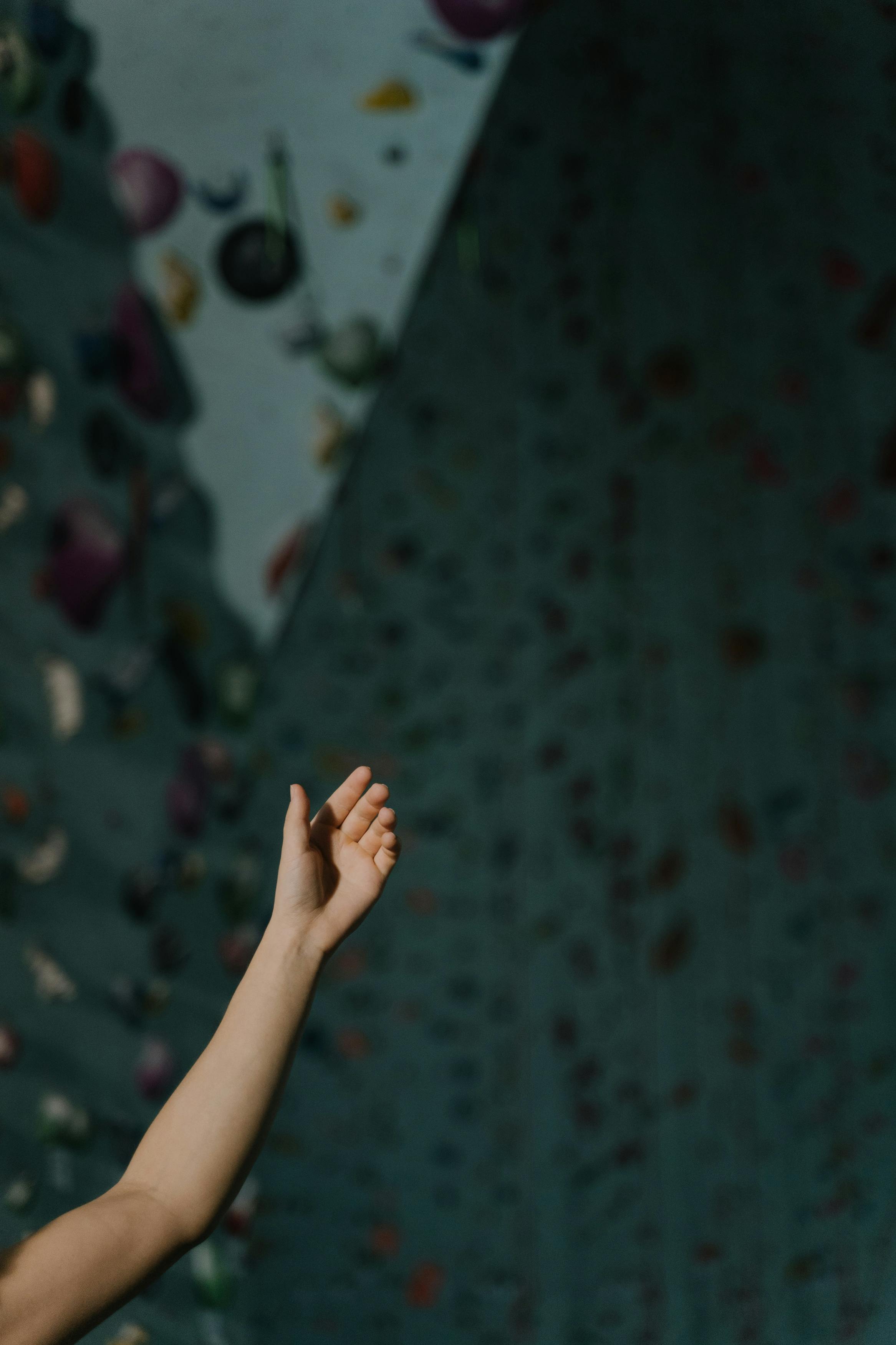 Reaching Heights Photos, Download The BEST Free Reaching Heights Stock