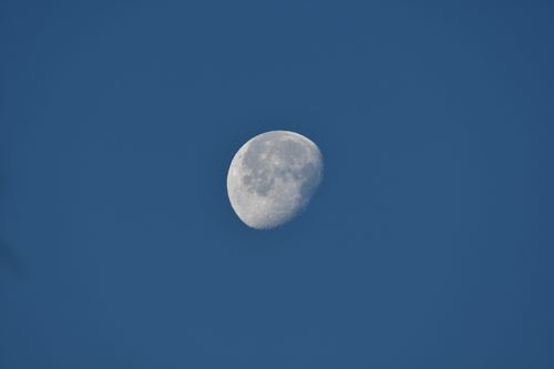 Free Detailed photo of the waxing gibbous moon against a clear blue sky in Diamondhead, MS. Stock Photo
