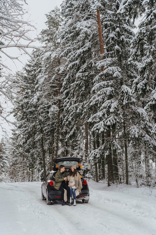 Fotobanka s bezplatnými fotkami na tému auto, automobilový priemysel, chladný