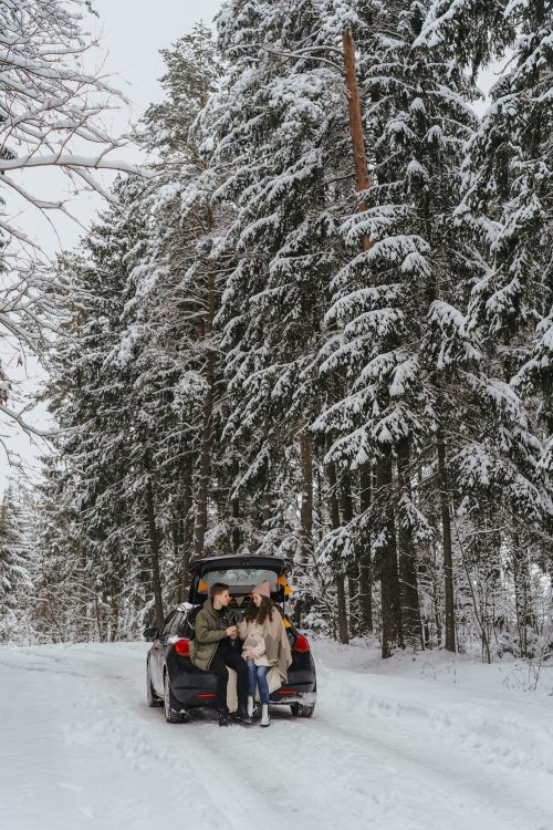 Free Couple sitting in car trunk enjoying winter forest views. Stock Photo