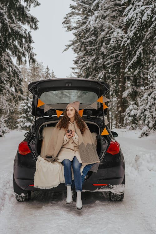 Foto profissional grátis de agasalhos, árvores cobertas de neve, automobilístico