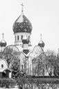 Grayscale Photo of Dome Building