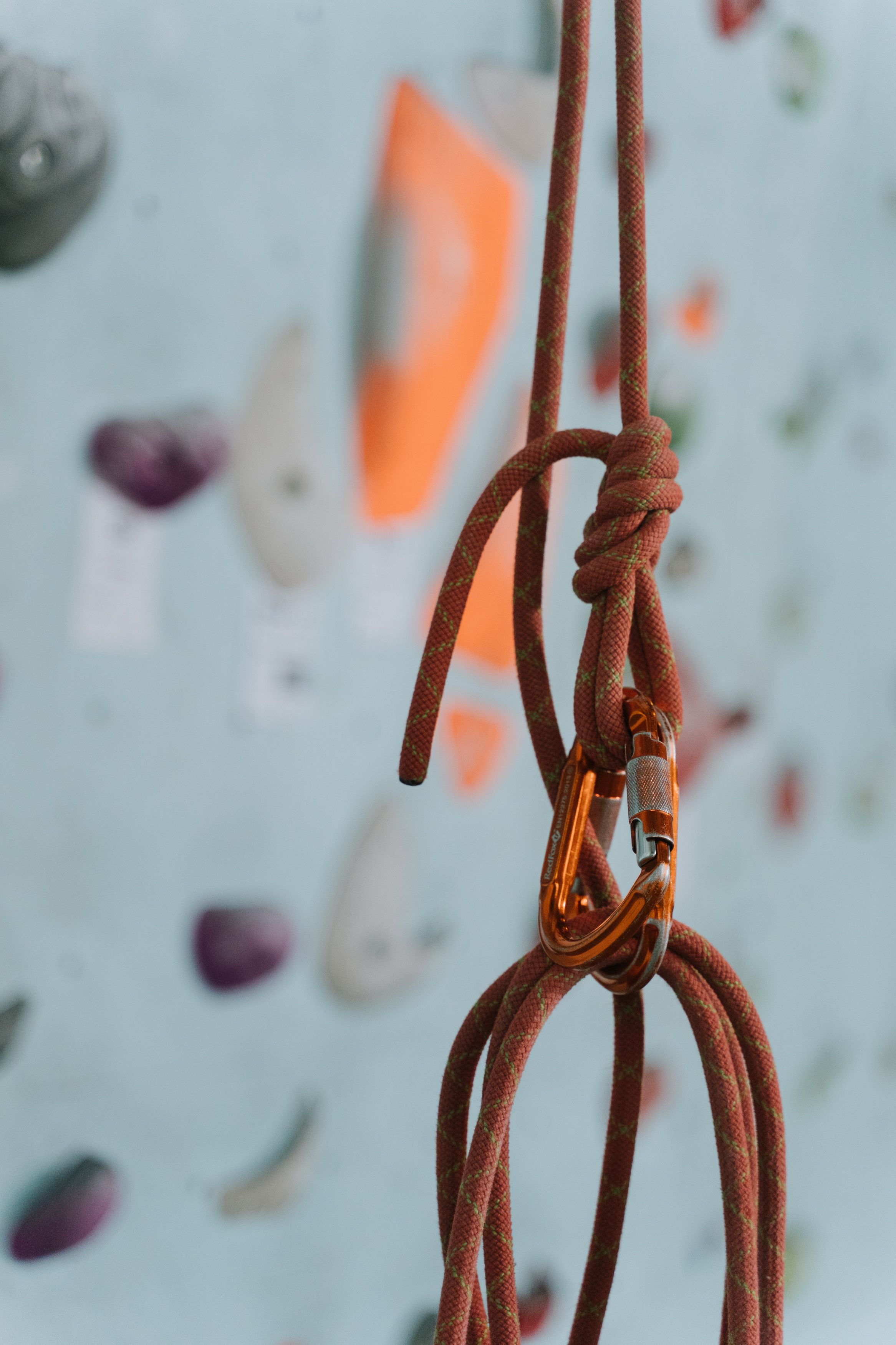 Detailed shot of carabiners and ropes used in rock climbing, emphasizing safety.