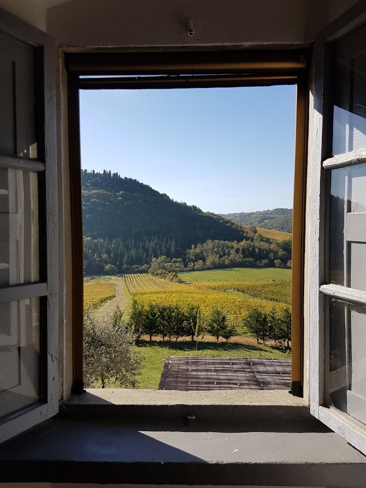 View From Window On Mountain And Garden