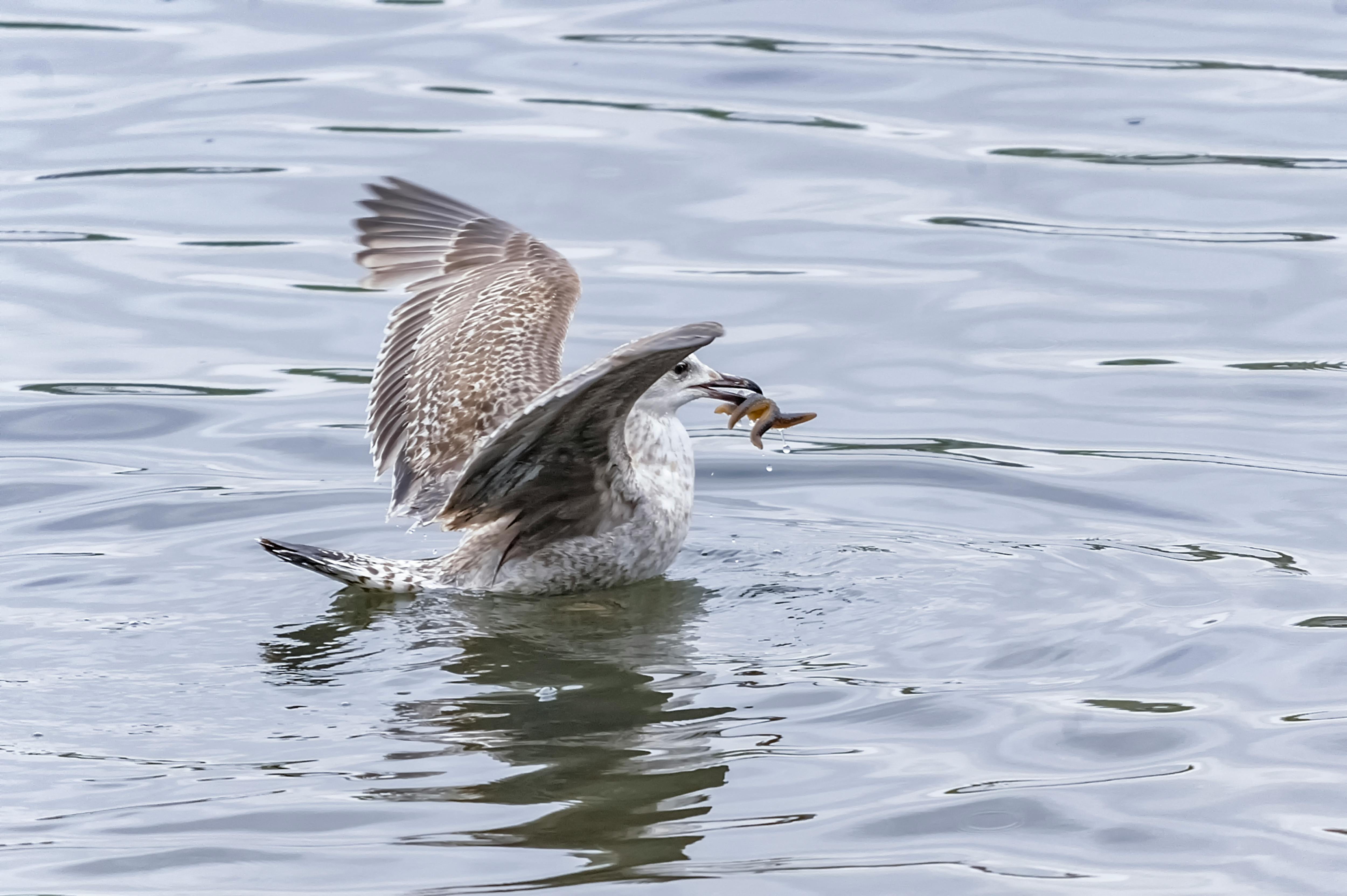 Modern medical facility
