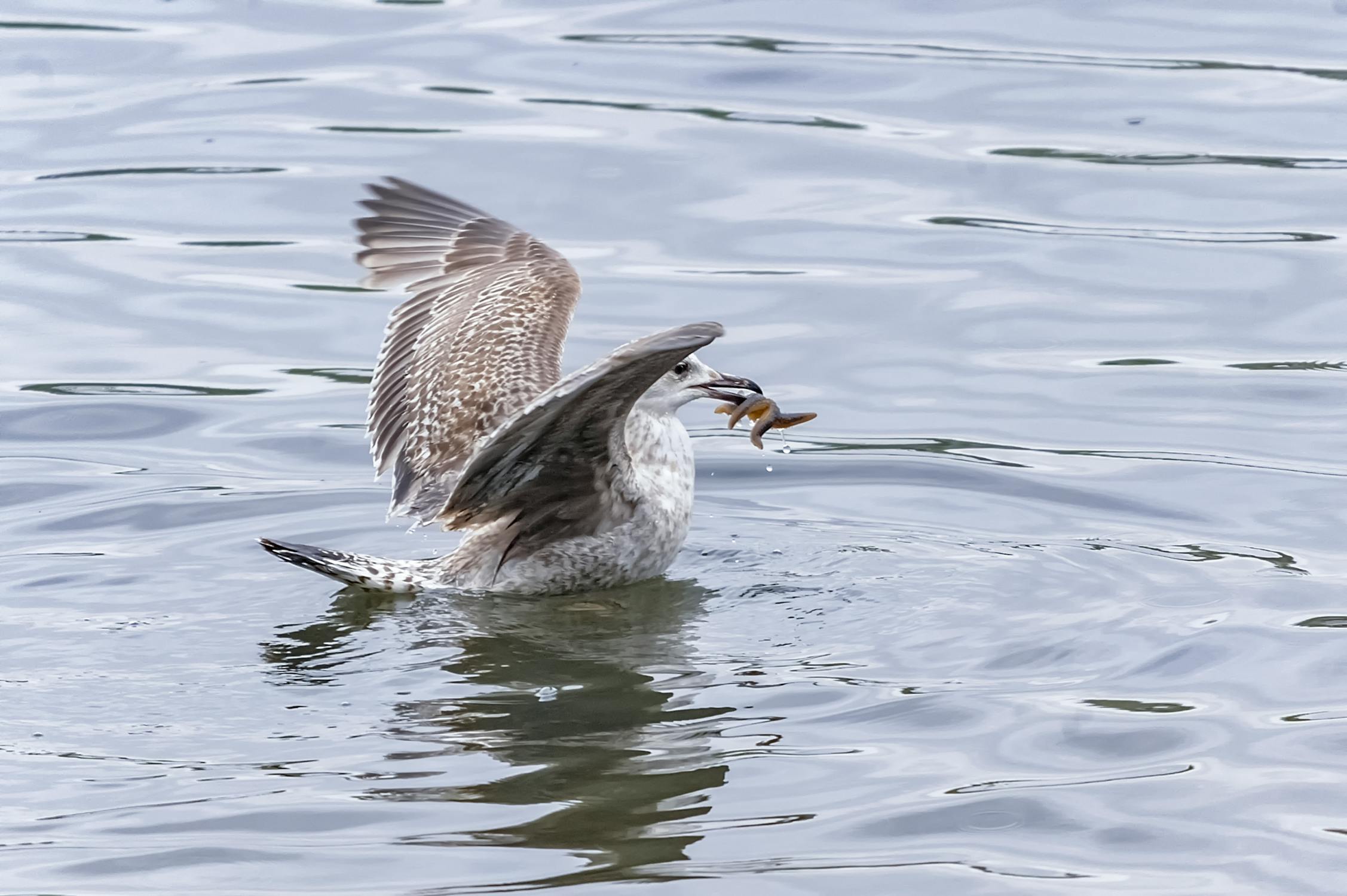 Modern medical facility