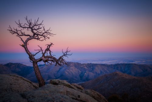 Free A scenic view of a lone tree on a mountain peak at twilight, capturing the vibrant hues. Stock Photo