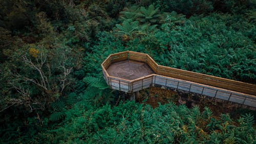 From above of narrow lumber bridge with railings leading to small round platform located amidst lush green park with trees and bushes