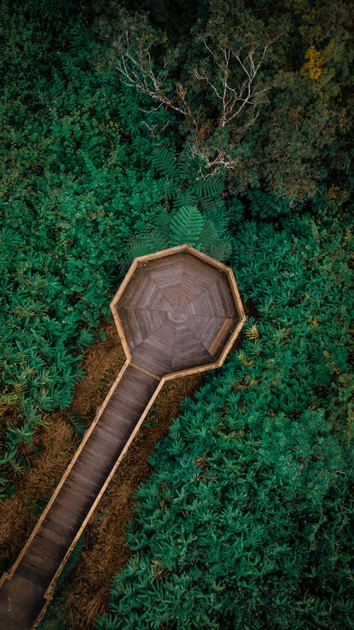 Top view of walkway made from natural materials and small viewpoint platform surrounded by lush greenery