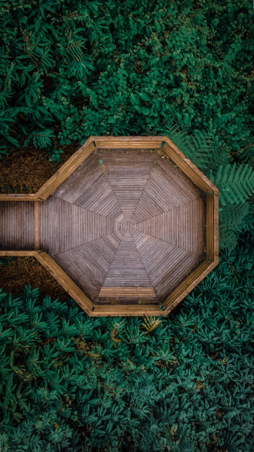 Wooden geometric platform placed in nature
