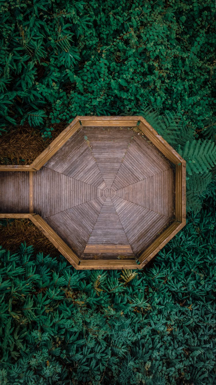 Wooden Geometric Platform Placed In Nature