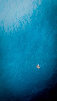 From above of distant small sea turtle swimming in endless turquoise sea with clear water in tropical resort in nature