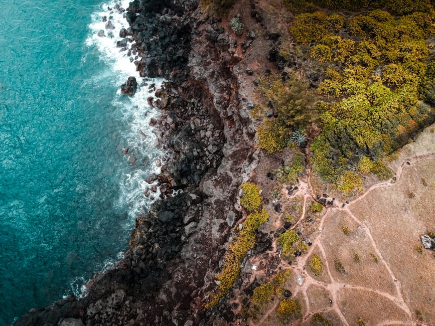 Stunning West Maui and Molokai 60-Minute Helicopter Tour Review Review 2026 - Top view of turquoise sea washing rough rocky shore with uneven surface and green lush trees in nature on seaside