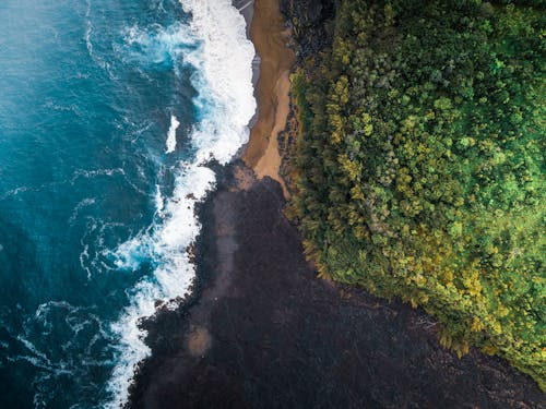 Top view of azure sea with foamy waves rolling shore with dense woodland with green trees in nature in tropical country