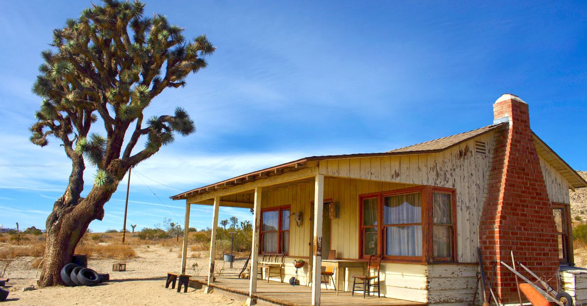 A rustic wooden cabin stands beside a lush Joshua tree under a bright blue sky in Lancaster, California.