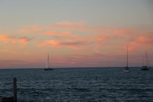 Foto profissional grátis de barco a vela, corpo d'água, fundo estético