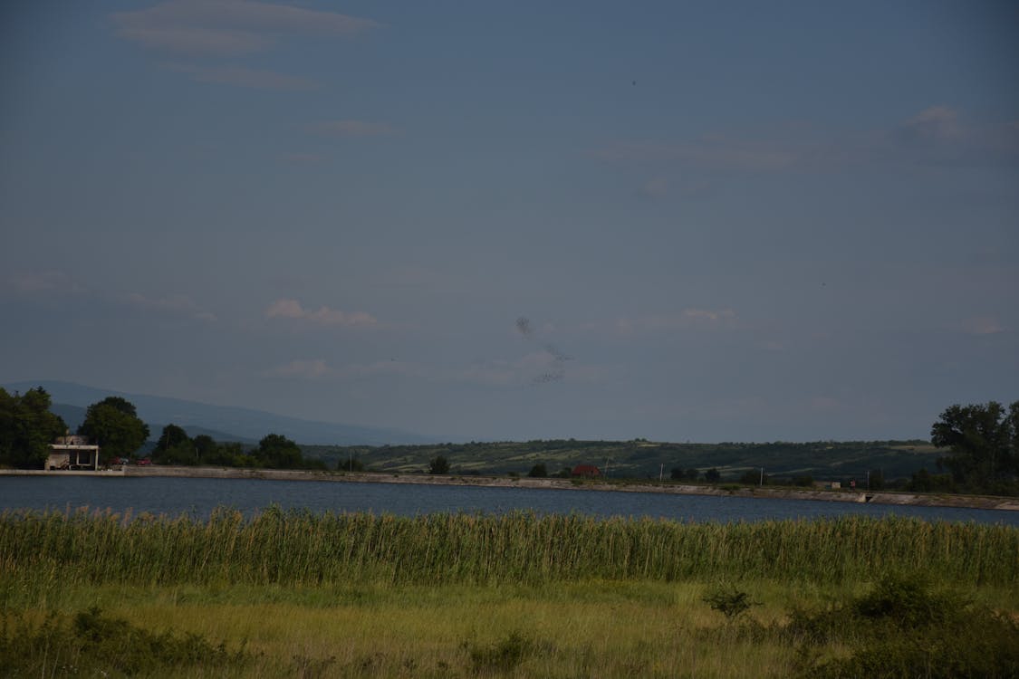 2025 日本郵便 AI 年賀狀服務爆紅:Gemini Nano Banana Pro 如何顛覆傳統賀卡市場? 2025 日本郵便 AI 年賀狀服務爆紅:Gemini Nano Banana Pro 如何顛覆傳統賀卡市場?