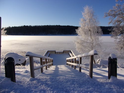 Kostnadsfri bild av brygga, frost, sjö