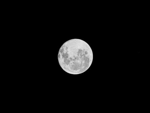 Free Close-up of a Full Moon  Stock Photo