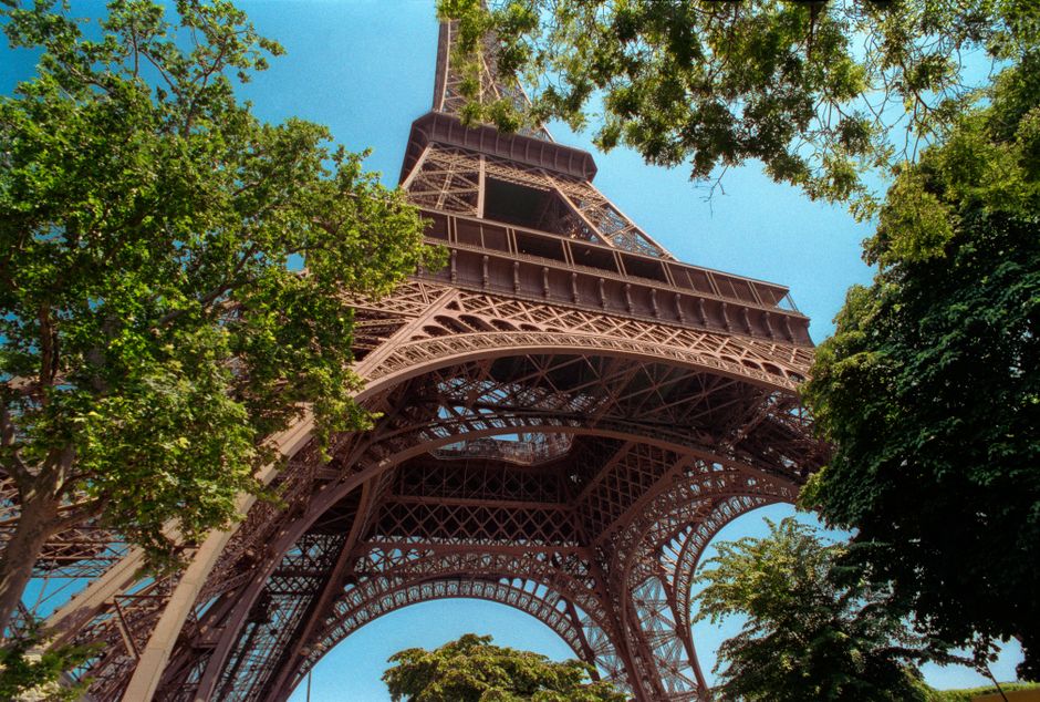 Dramatic low angle view of the Eiffel Tower surrounded by lush green trees in Paris, France.