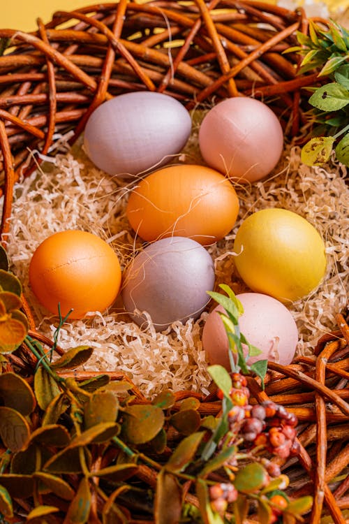 계란, 나뭇잎, 둥지의 무료 스톡 사진