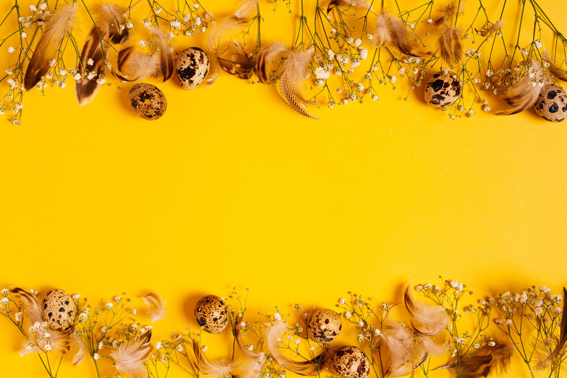 A vibrant arrangement of quail eggs and feathers with floral accents on a yellow background.