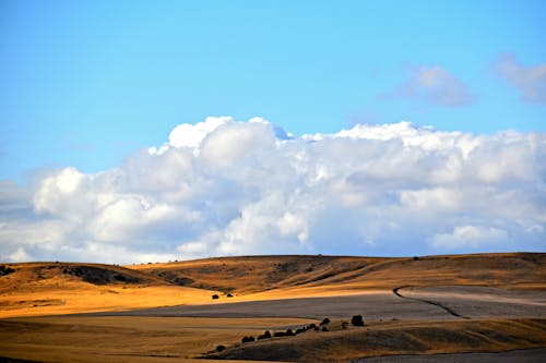 Free stock photo of big sky, clouds, montana
