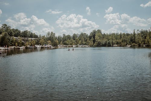 People Kayaking on the Lake