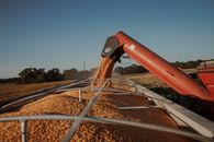 A Machinery Harvesting Grains