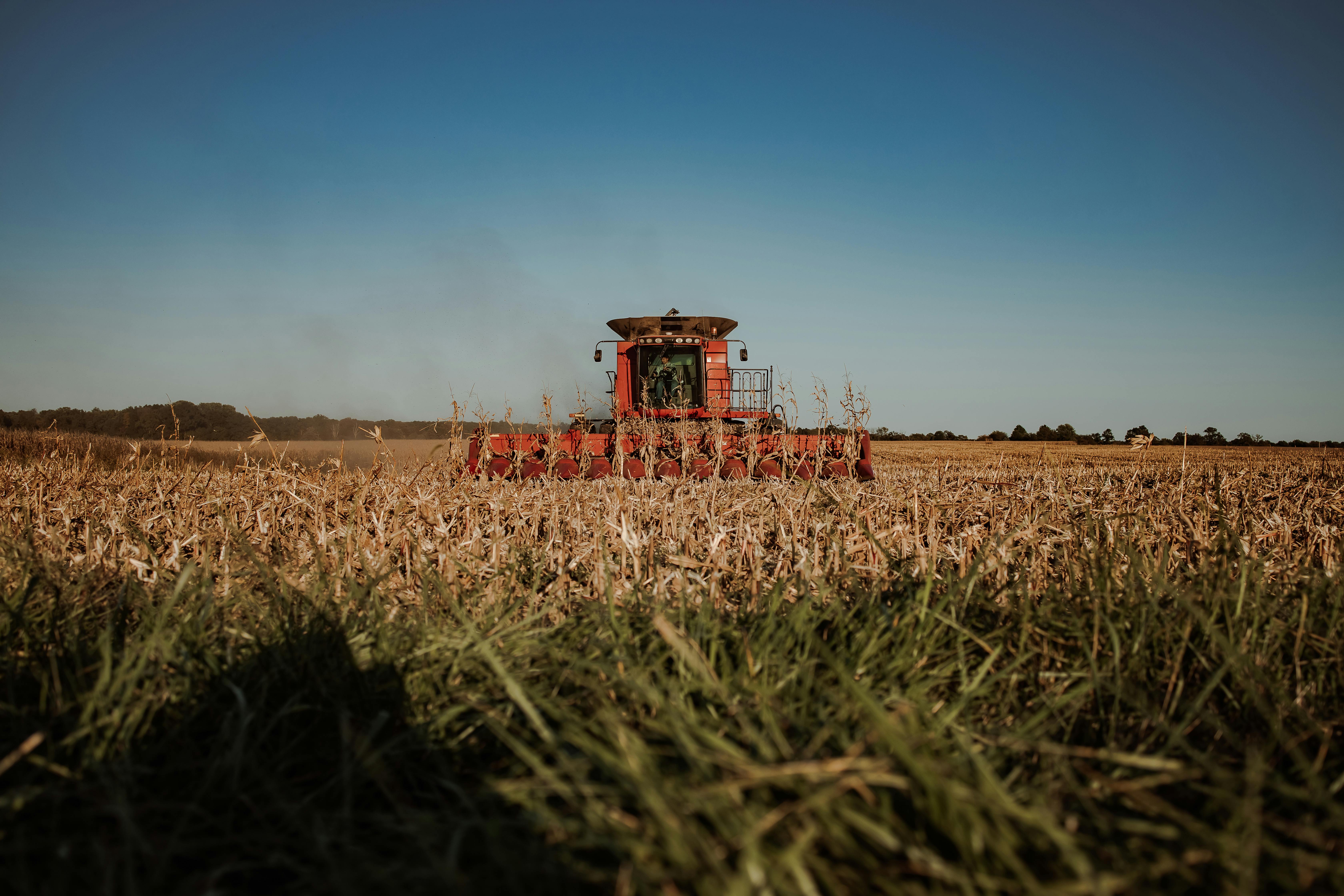 Mwandha: 30 years protecting wildlife