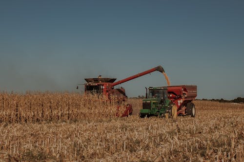 Harvester in the Corn Field