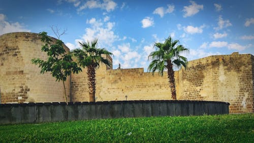 免费 堡垒旁的棕榈树 素材图片