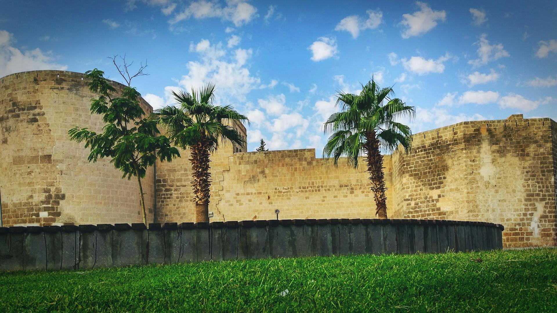 Palm Trees Next to Fort