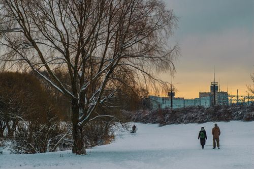Free People walking in a snow-covered park during sunset, with trees and distant buildings in view. Stock Photo