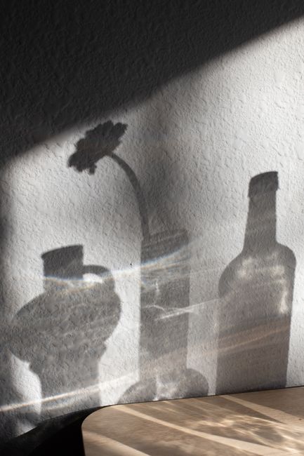 Shadow on white wall of flower in vase near bottle and jug placed on table in room on sunny day