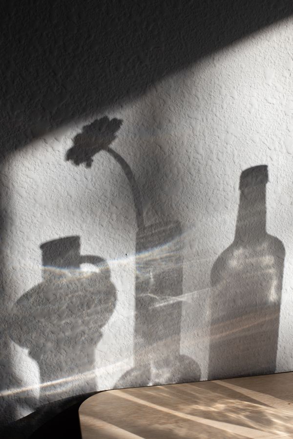 Shadows of a vase and bottle cast on a white plaster wall, photo by Jill Burrow on Pexels