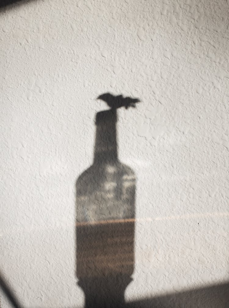 Shadow Of Glass Bottle On White Wall In Daylight